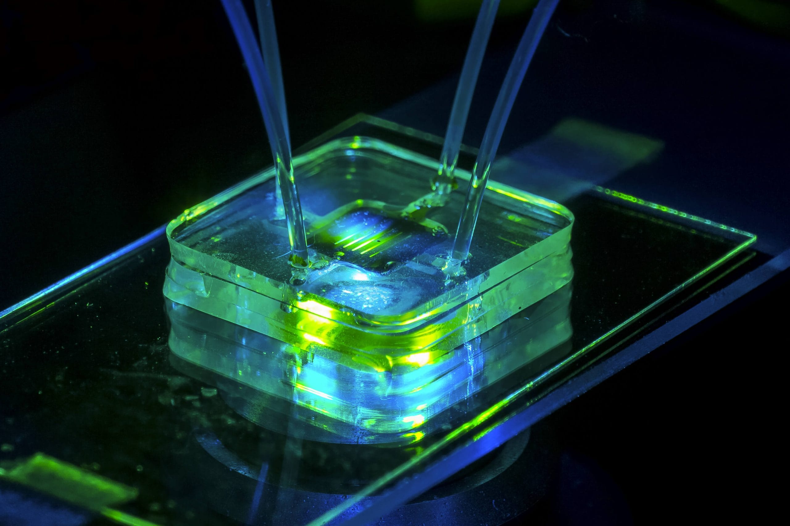 Materials for Microfluidic Chips Fabrication scaled