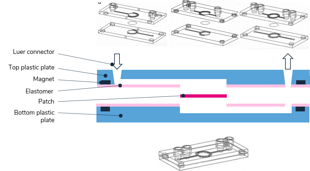 organ-on-chip-microlfuidics-chip-biology-