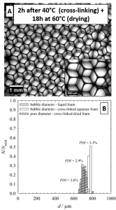 Pictures of Chitosan foams and Polydispersity Index evolution