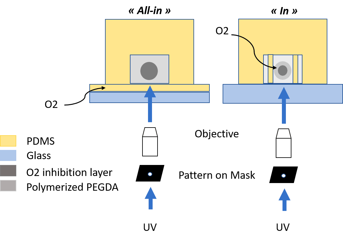 Fig.1 Combination of in-flow photolithography and droplet-based microfluidics. 2 configurations "all-in" and "in" PDMS configurations.