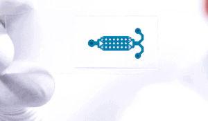 soft-lithography-SU-8 PDMS microfluidic chips