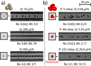 Fig 4. Impedance-based viscoelastic flow cytometry results: Image stacks of focusing of 6 ␮m diameter PS beads (A) and RBCs (B). Courtesy of Caglar Elbuken.