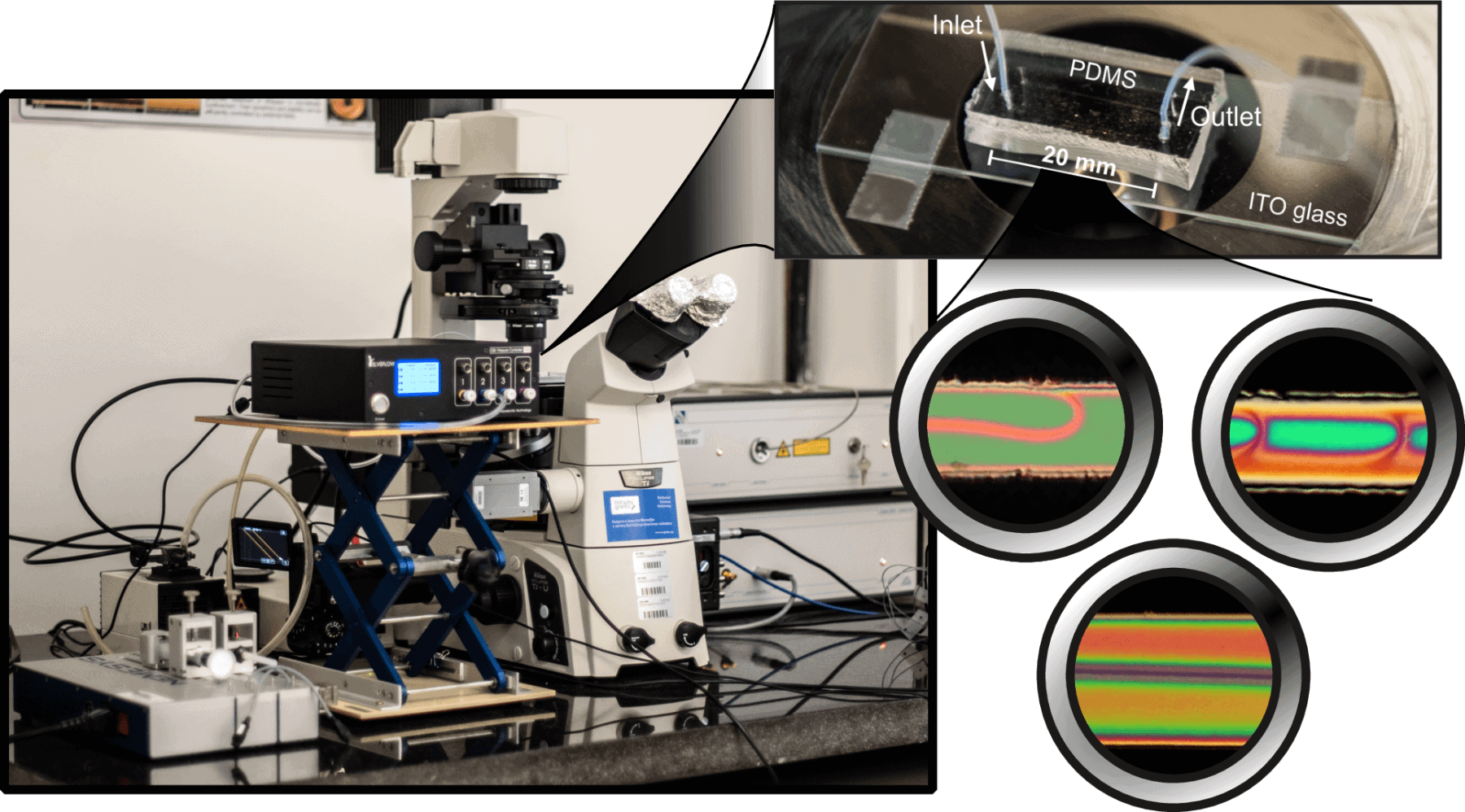 Microfluidic control over nematic liquid crystal flow Setup