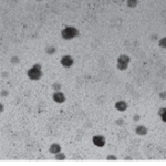 Nanohydrogels