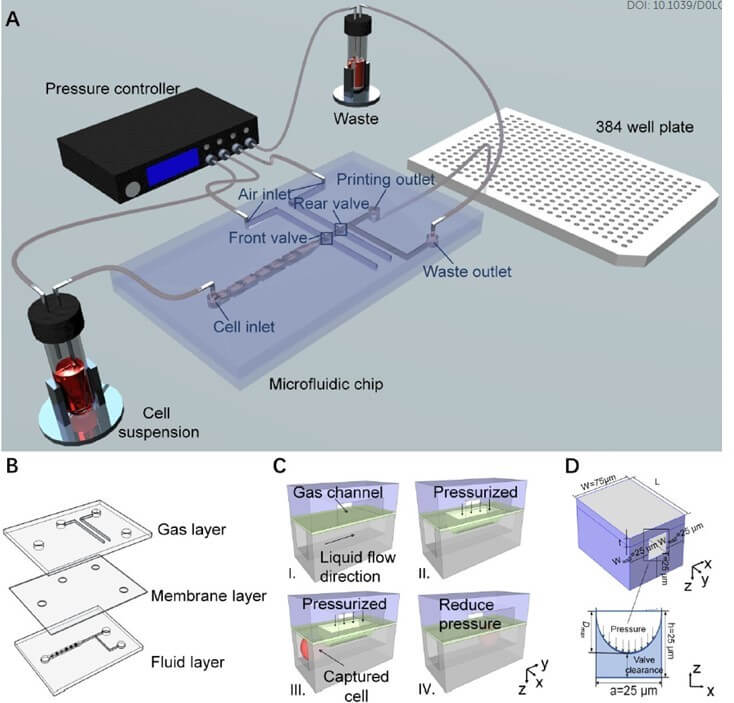 Dynamic single cell screening Fig1