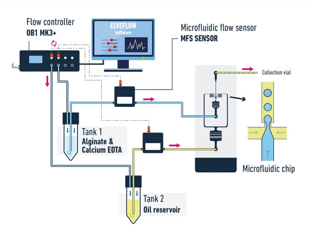 Microfluidic setup to generate alginate droplets with a microfluidic chip