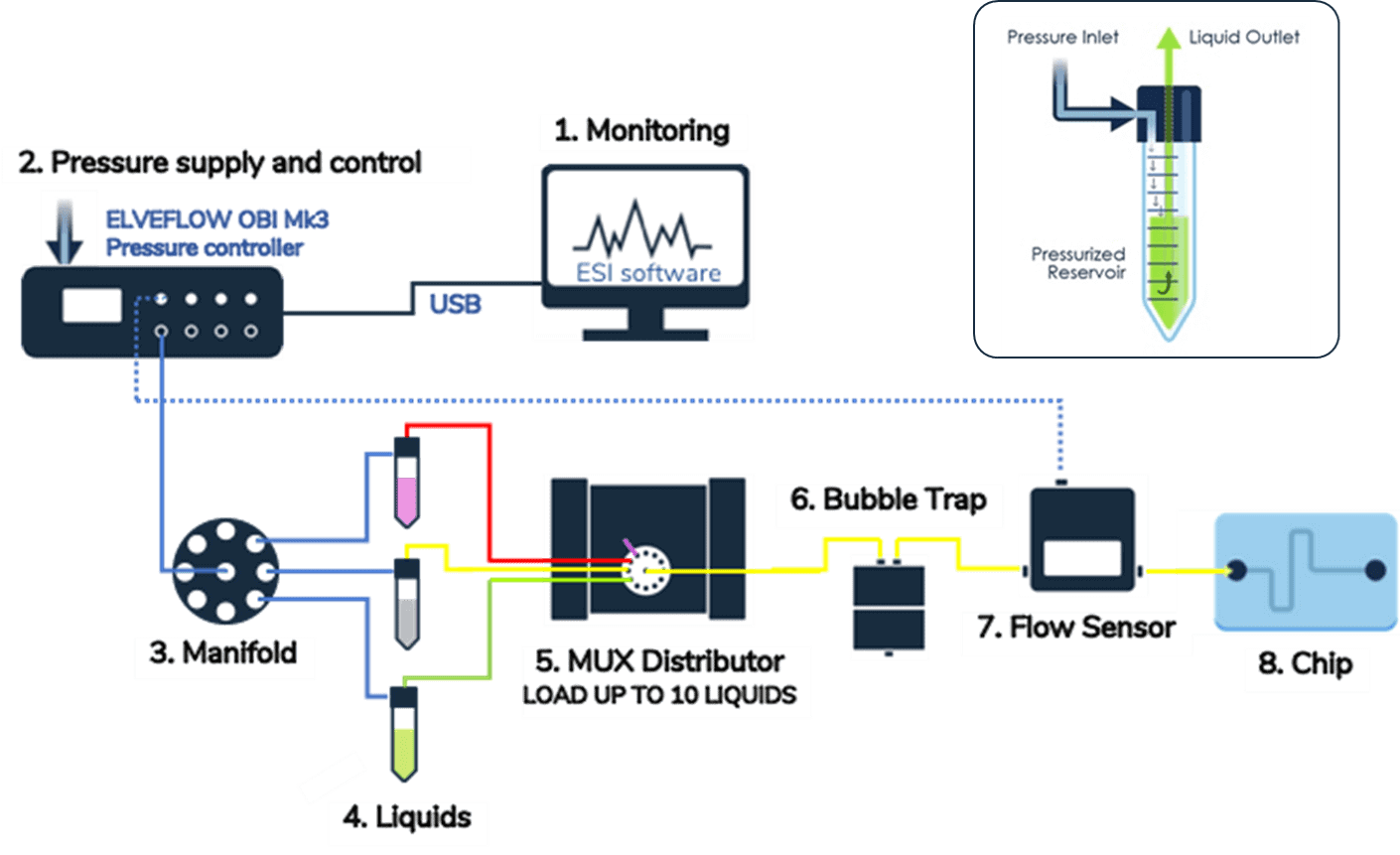 Automated cell seeding setup diagram for perfusion and stain cells