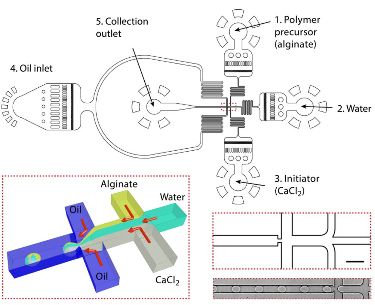 Sodium alginate pancake particles production