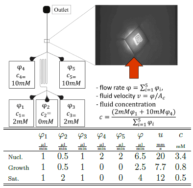 Nucleation and crystal growth fig1