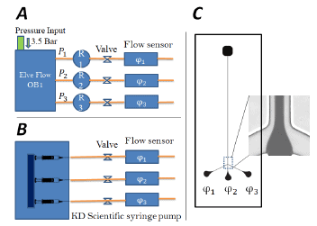 Nucleation and growth flow stability