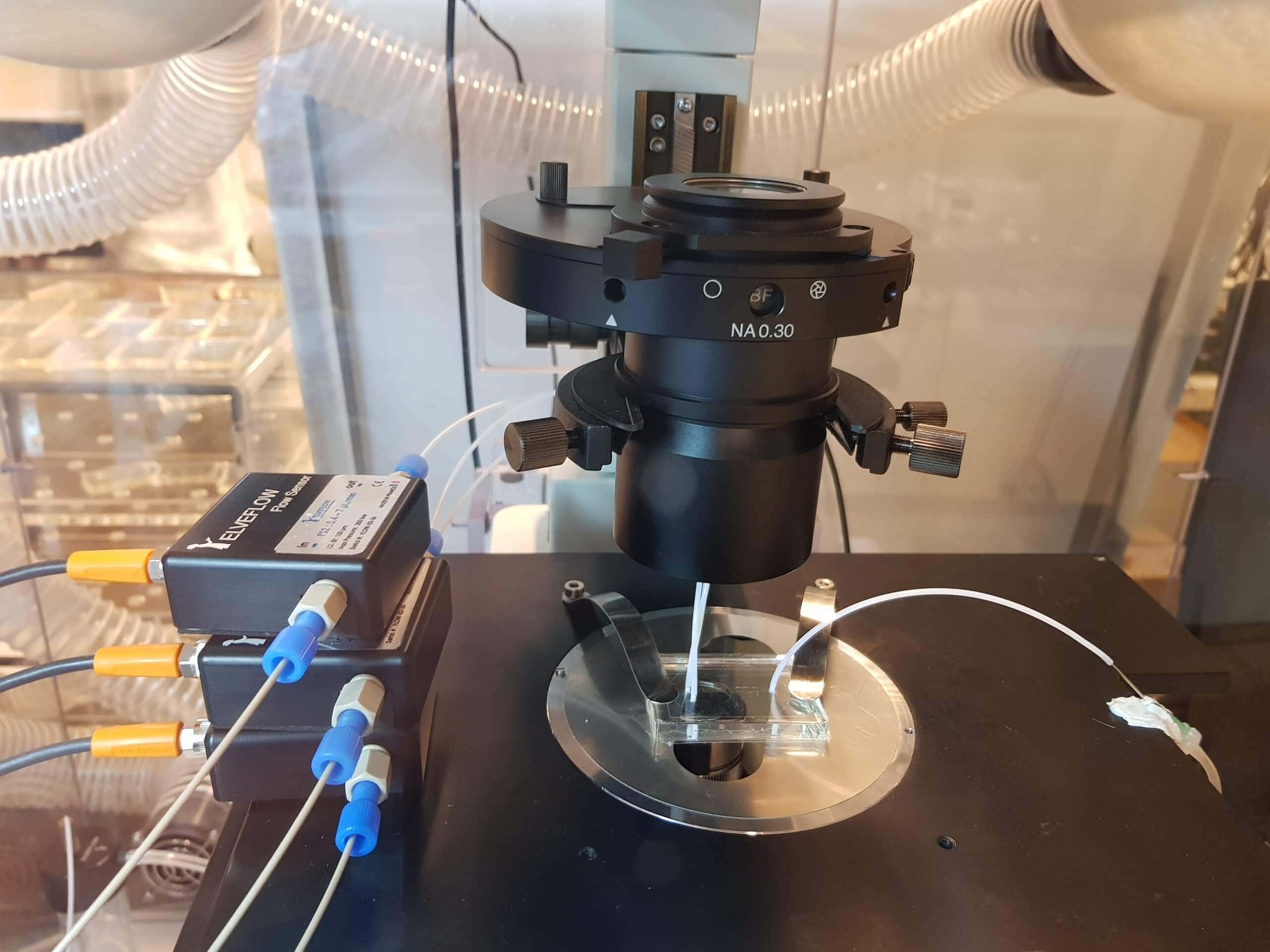 nucleation and crystal growth 2 scaled