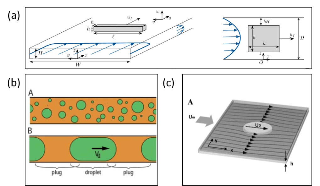 Diverse particles confined and unconfined