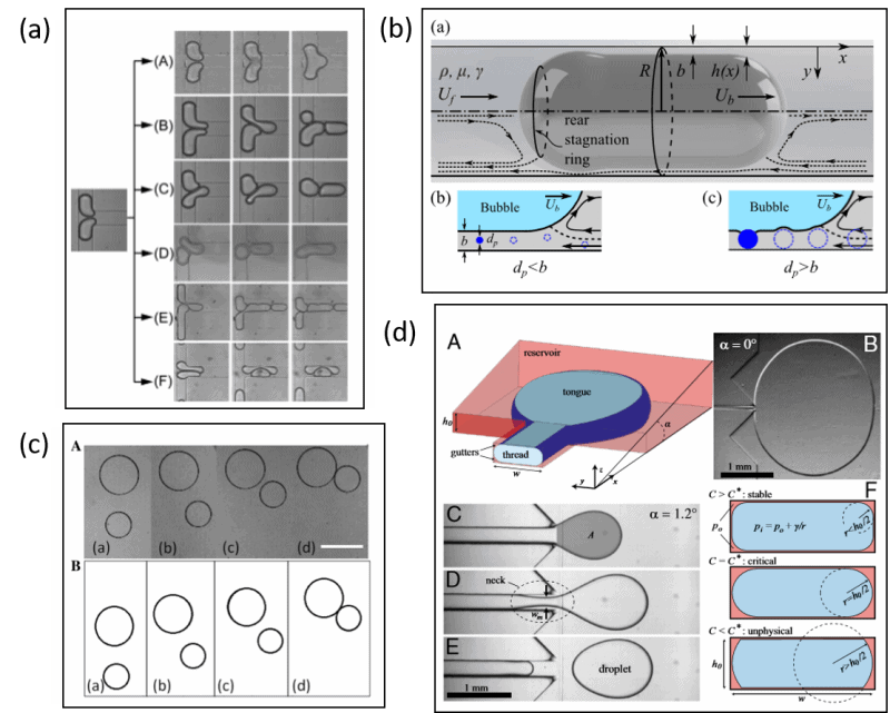 Manipulation of confined particles in bubbles and droplets in microfluidic devices e1601456049127