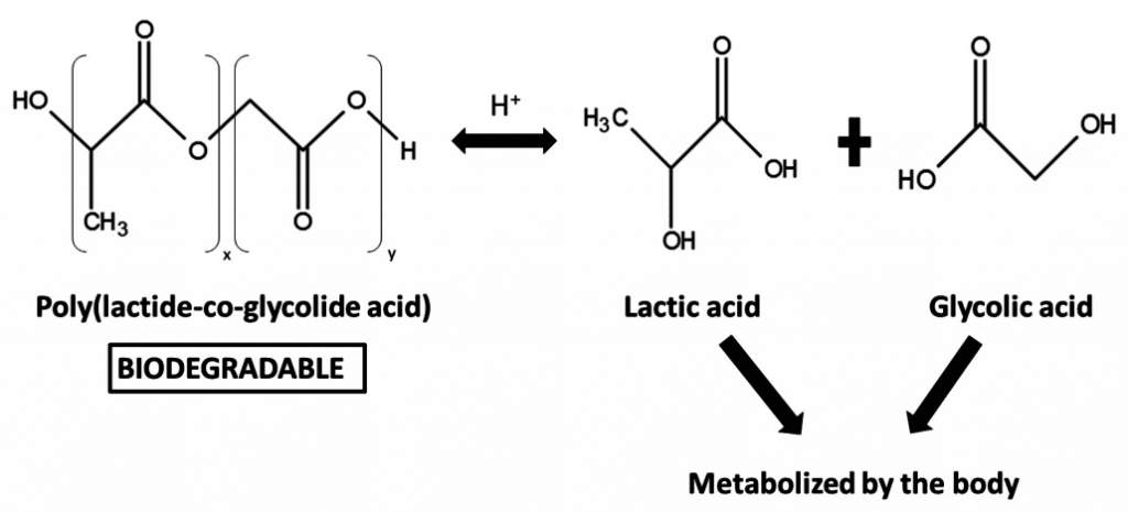 PLGA polymerization e1599752646887