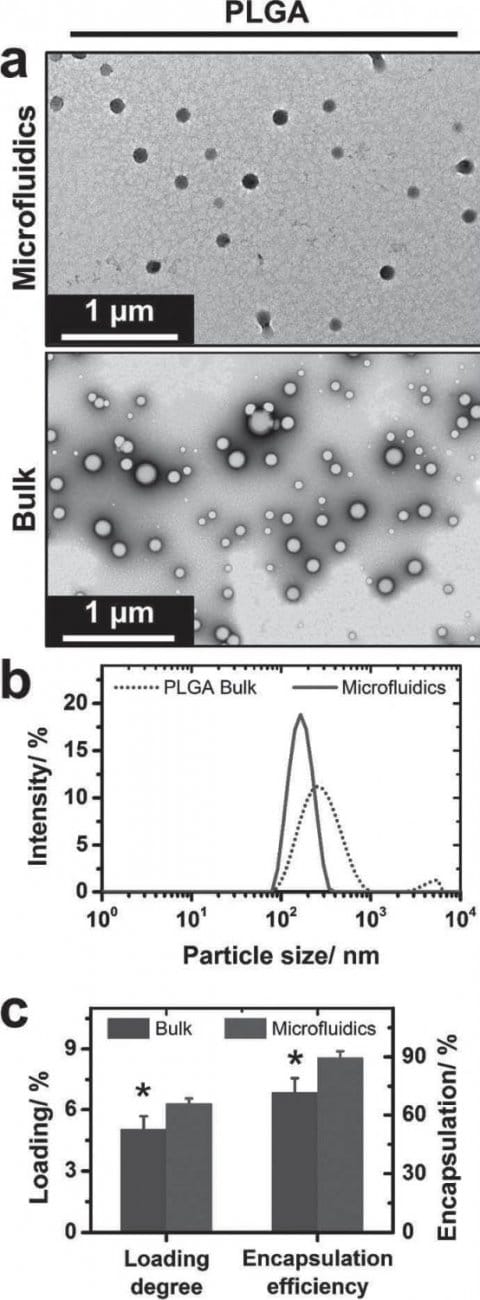 Results obtained for PLGA nanoparticles e1599753502550