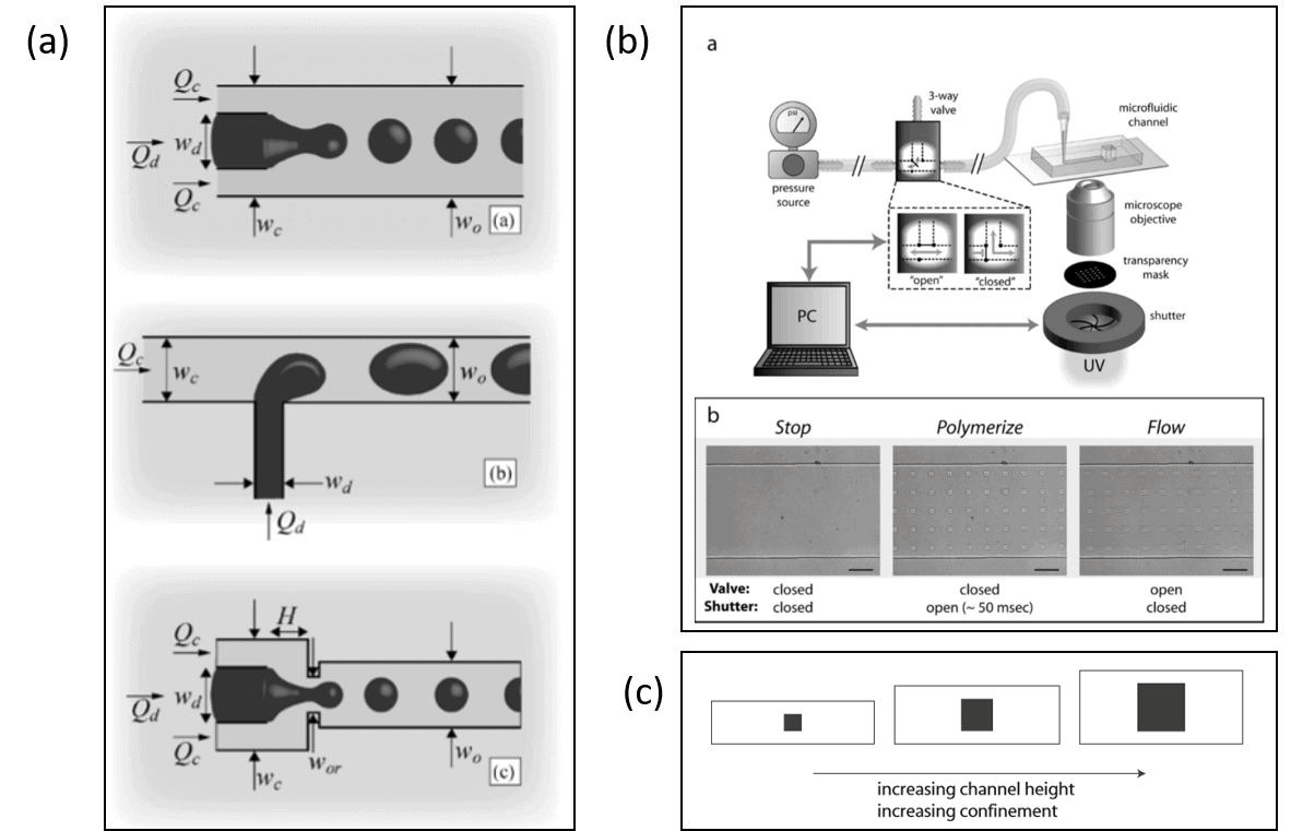 Techniques for the formation of confined particles directly in microfluidic devices