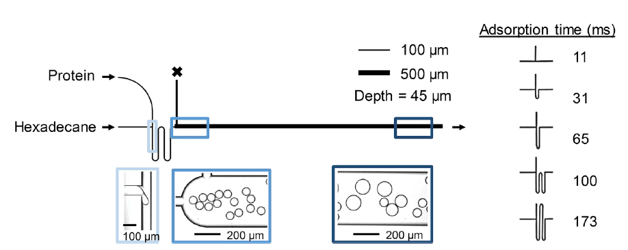 emulsion stability mateirals diagram