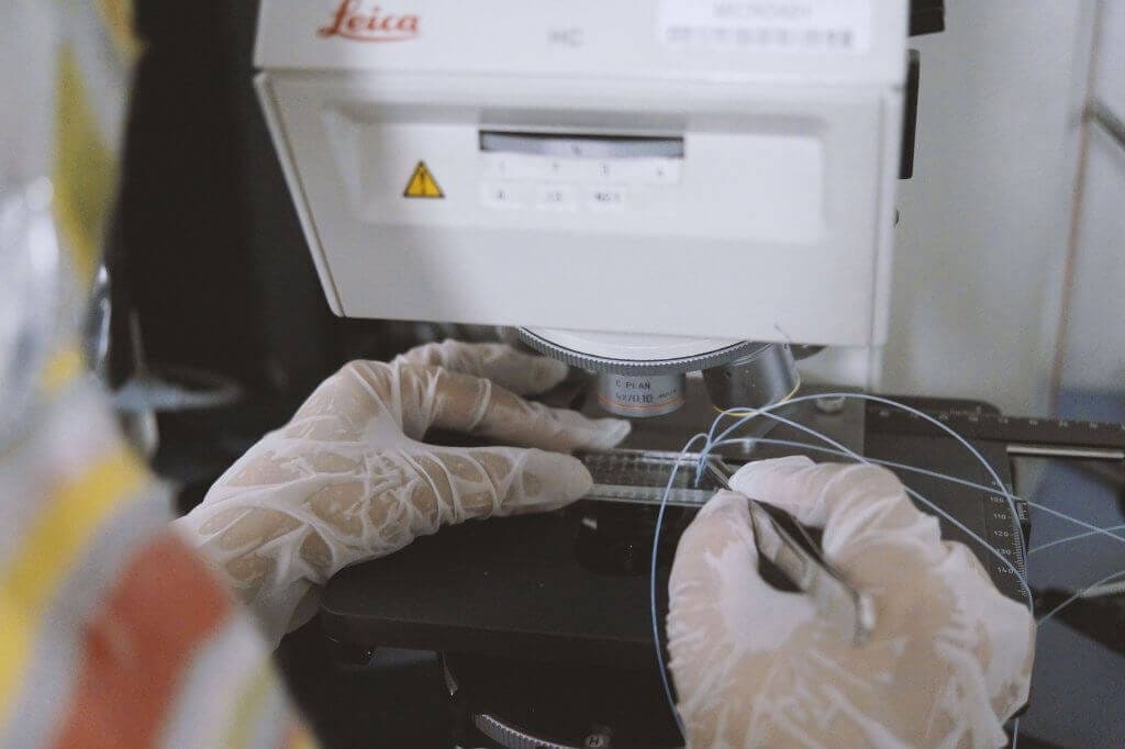 Sehrish microfluidics fungicide screening Sehrish 2 microfluidics career 1024x682 1