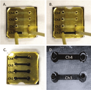 Figure 10