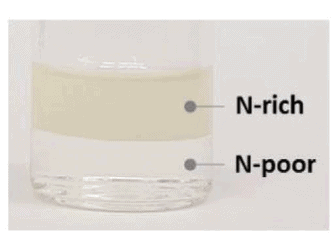 microcapsules fig 1A