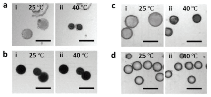 microcapsules fig 3A