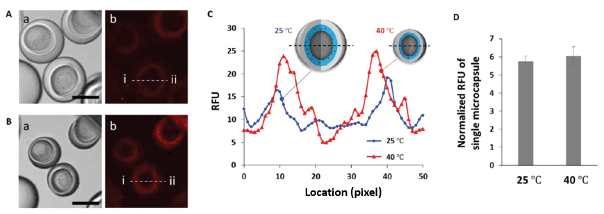 microcapsules figure 5