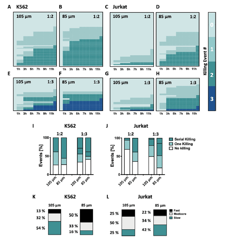 natural killer cells fig 5