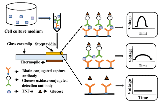 Thermoelectric sensor Fig 3