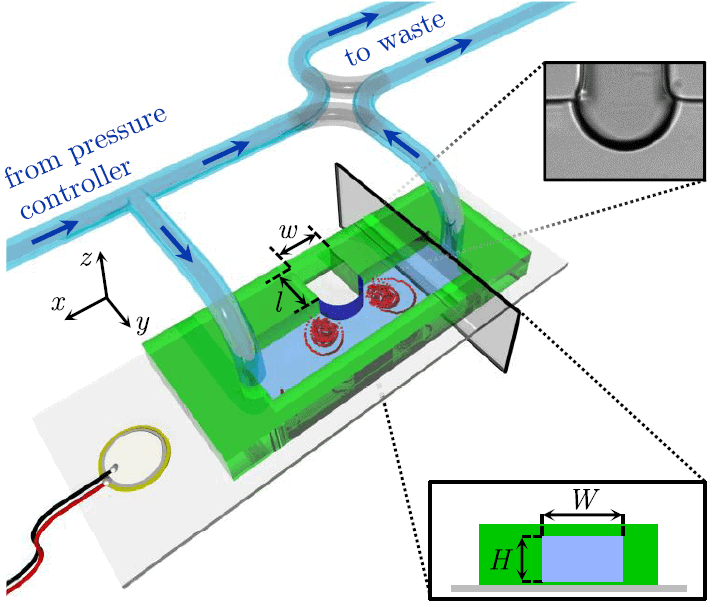 particle migration fig 1