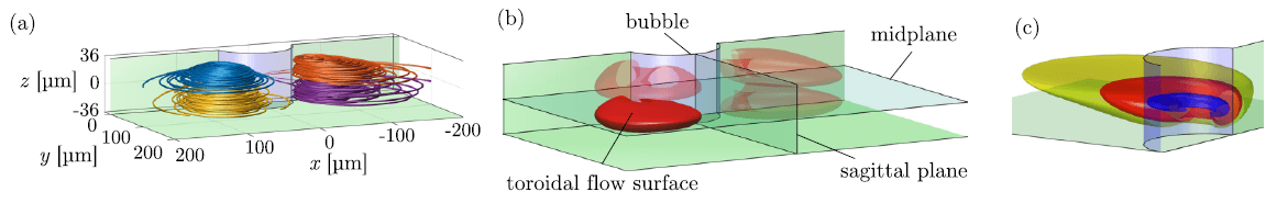 particle migration fig 2