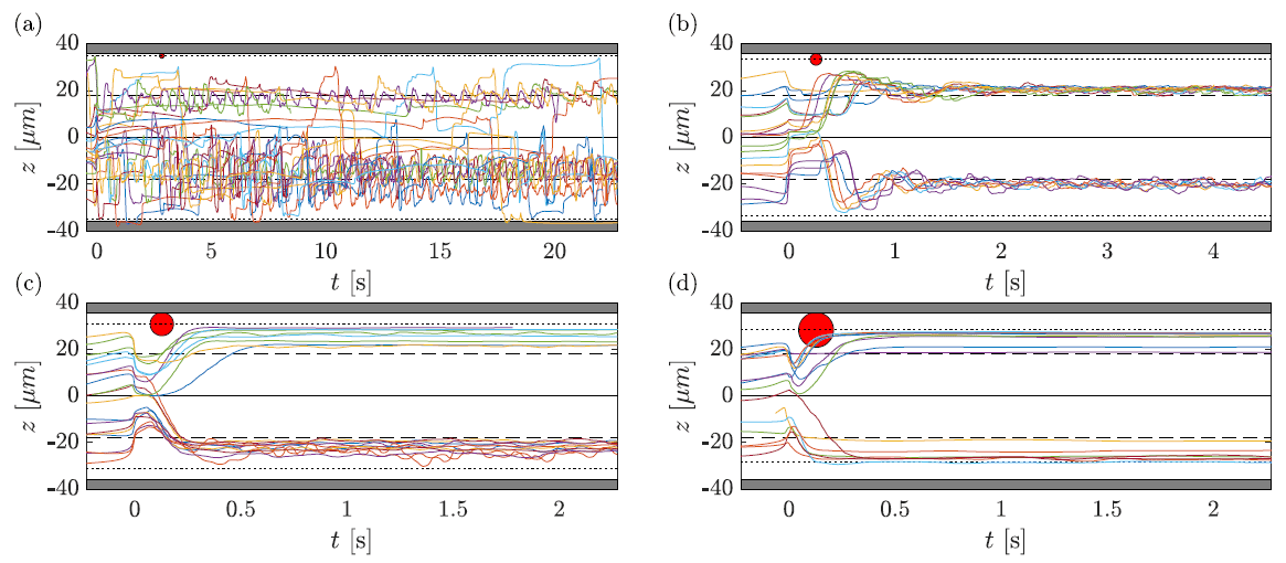 particle migration fig 3