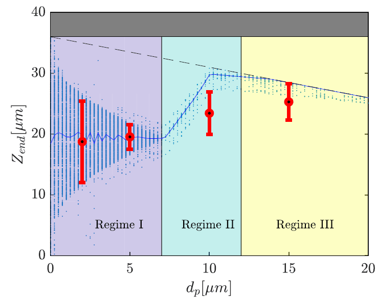 particle migration fig 4