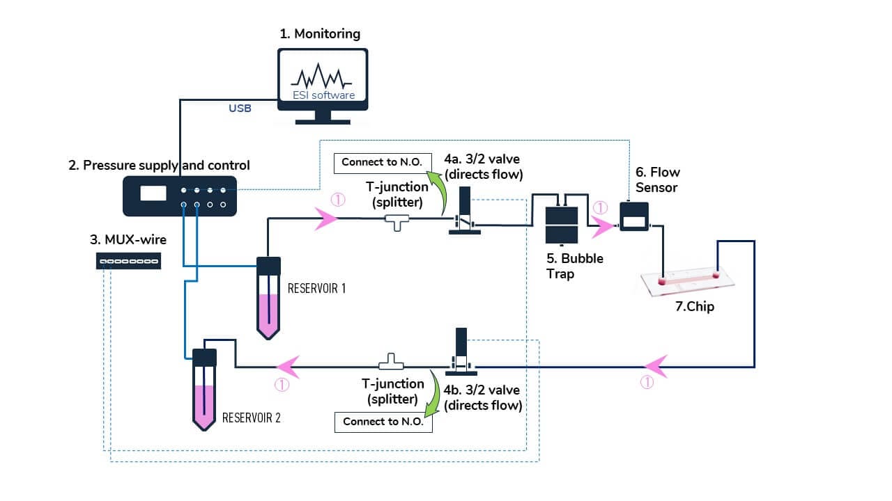 circuit 1 microfluidic recirculation elveflow