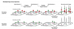 elveflow transcriptomics fluidic microfluidics expertise