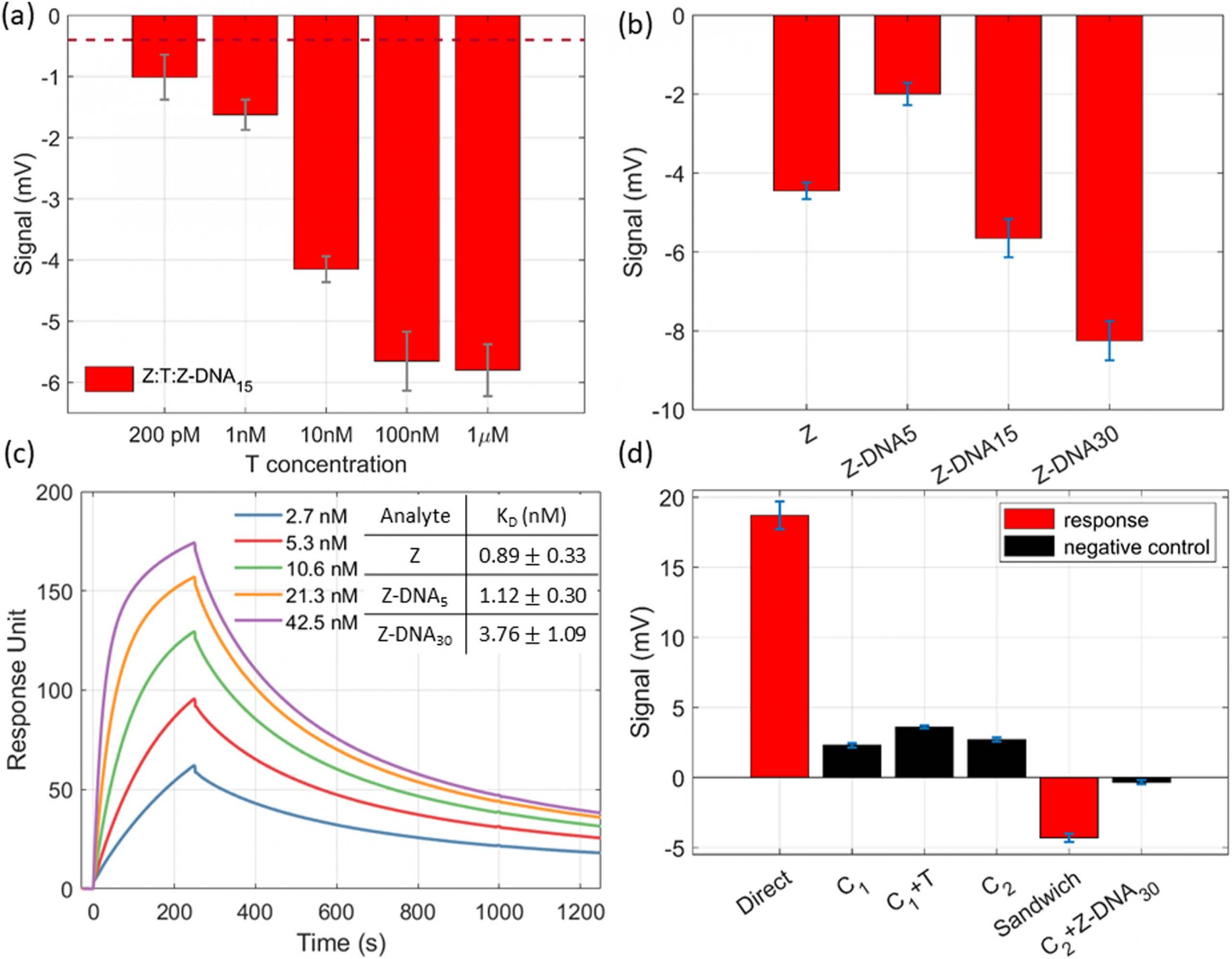 Fig. 5. Impact of DNA conjugation upon the signal courtesy of the author scaled