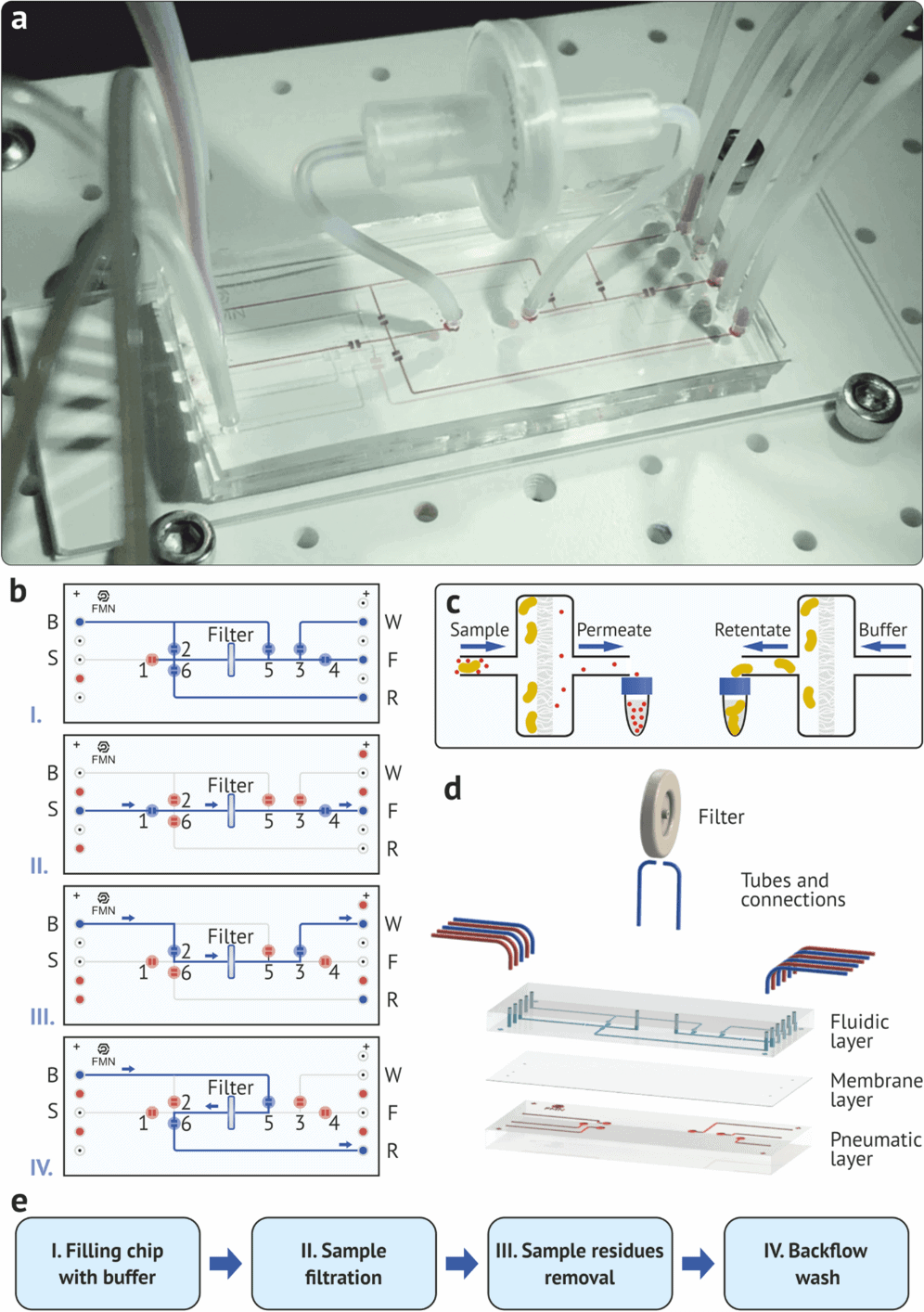 Figure 2  Microfluidic bacteria separation