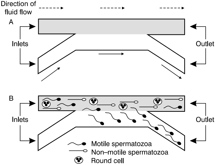 Passively driven microfluidic device for sperm sorting based on motility