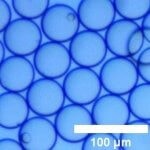 Single cell encapsulation microfluidic title photo