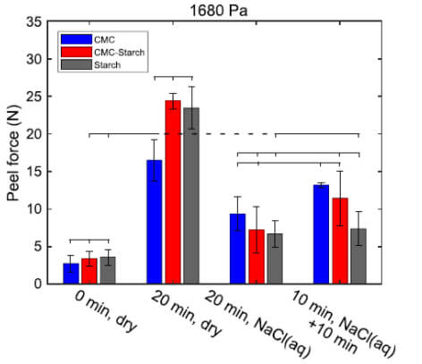 figure2b