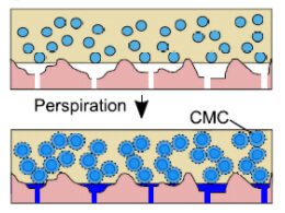 figure2e