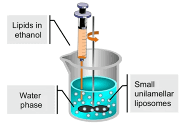Fig 3  Liposome and Lipid nanoparticle