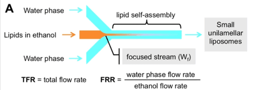 Fig 4  Liposome and Lipid nanoparticle