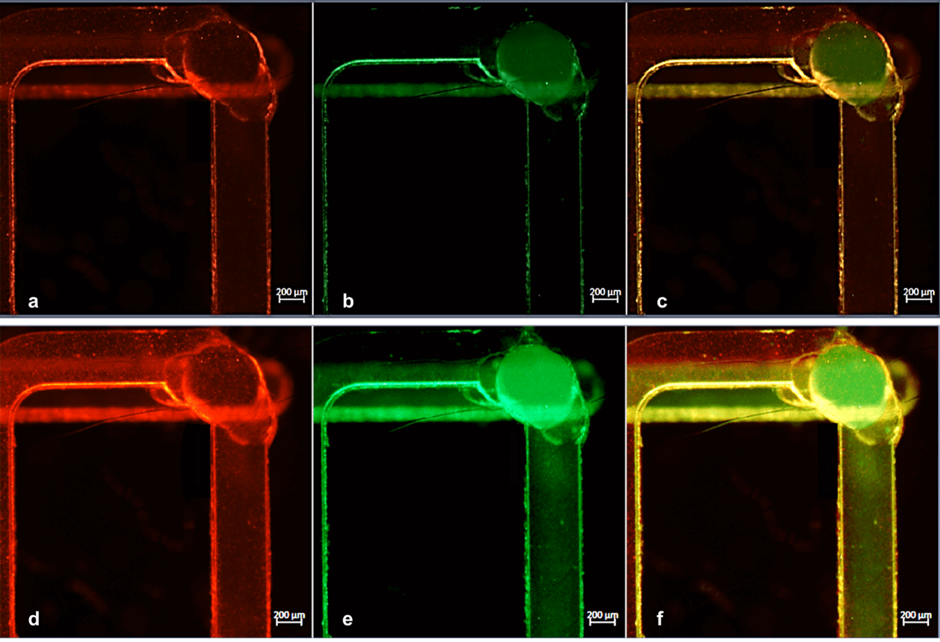 Fig 4 Onchip particle manipulation