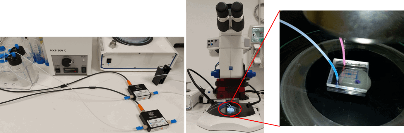 Fig1 onchip particle manipulation