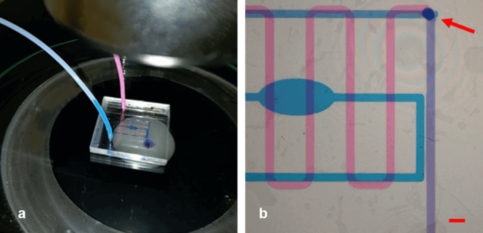 Fig3 On chip particle manipulation