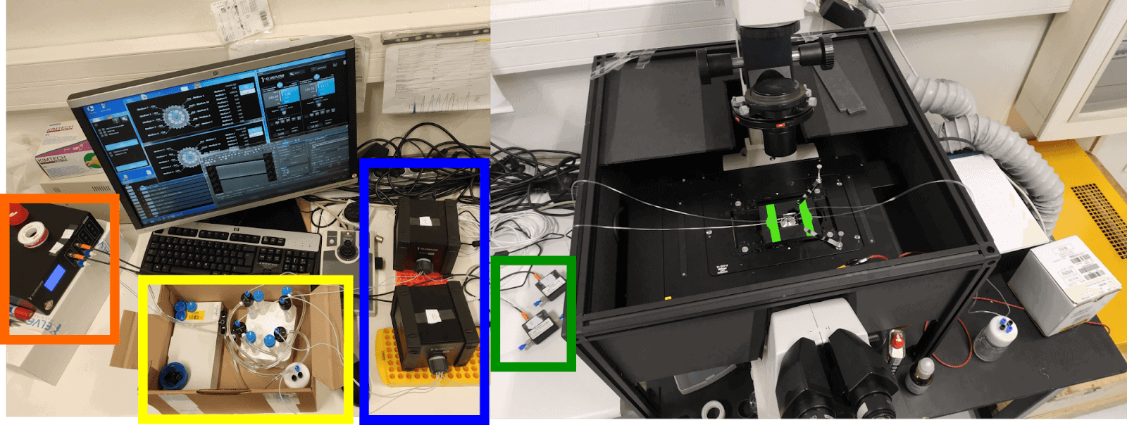 How to study bacteria Setup