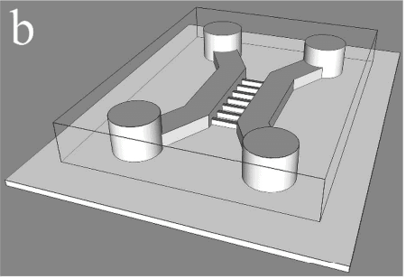 Microfluidic chemostat b