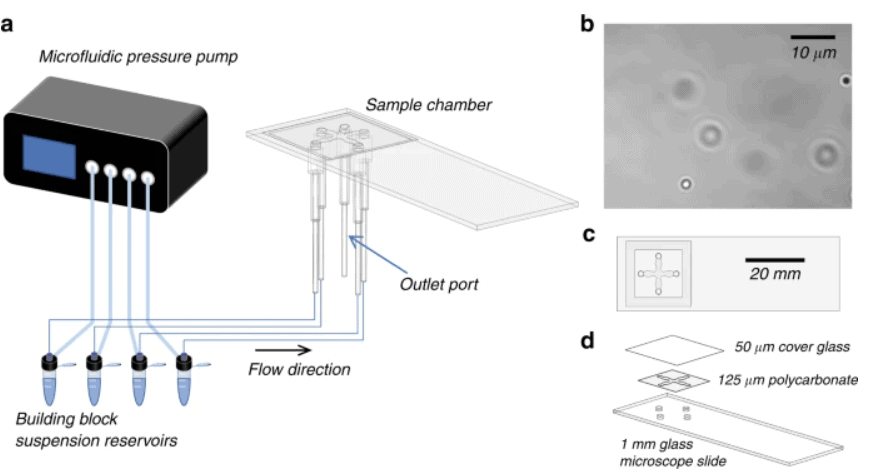 Optical Tweezers setup