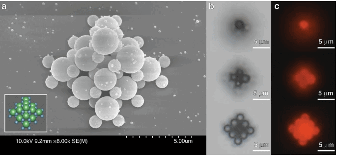 Optical tweezers 3