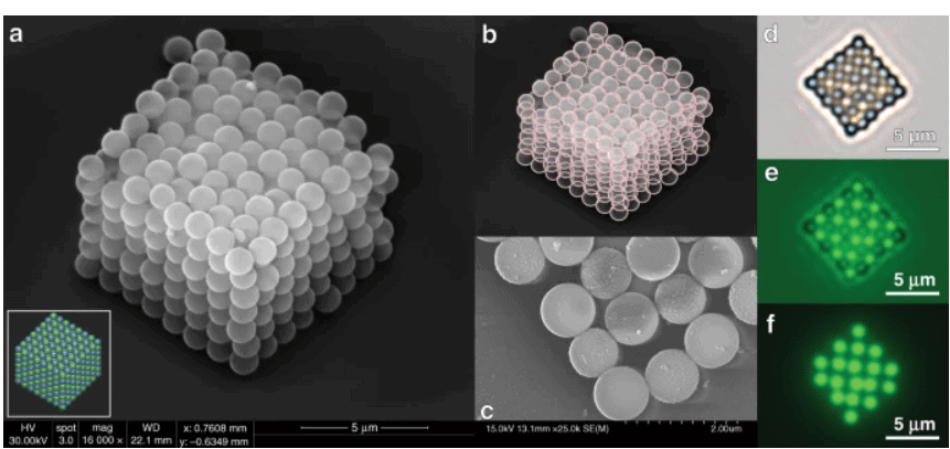 optical tweezers 2bis